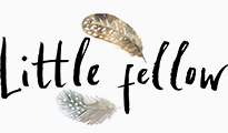 Little Fellow